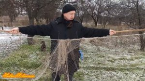 Мини обзор тайника для ловли певчих птиц под востановление.