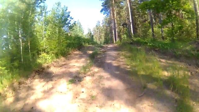 Страсть к природе и боль в мышцах  Велопесочная поездка по лесу 29 05 2023