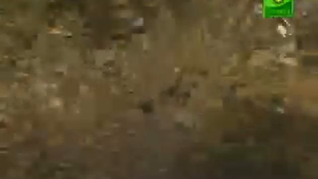 Тарасково. Монастырь Всецарицы смотреть онлайн