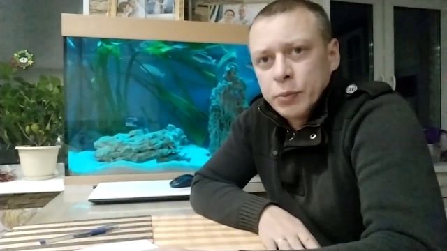 Живой корм для рыб плюсы и минусы смотреть онлайн