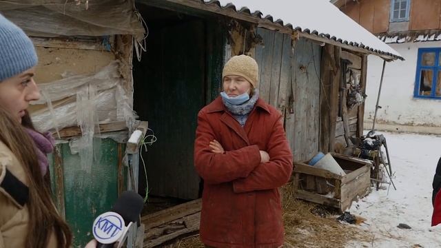 В с. Негівці господарі знущаються з корови! смотреть онлайн