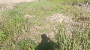 Копаю пруд в ручную ( добавляю кормовую базу)