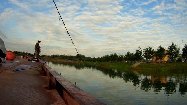 Бисерово форель   сентябрь