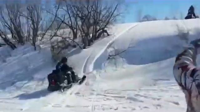 Доволенские проходимцы