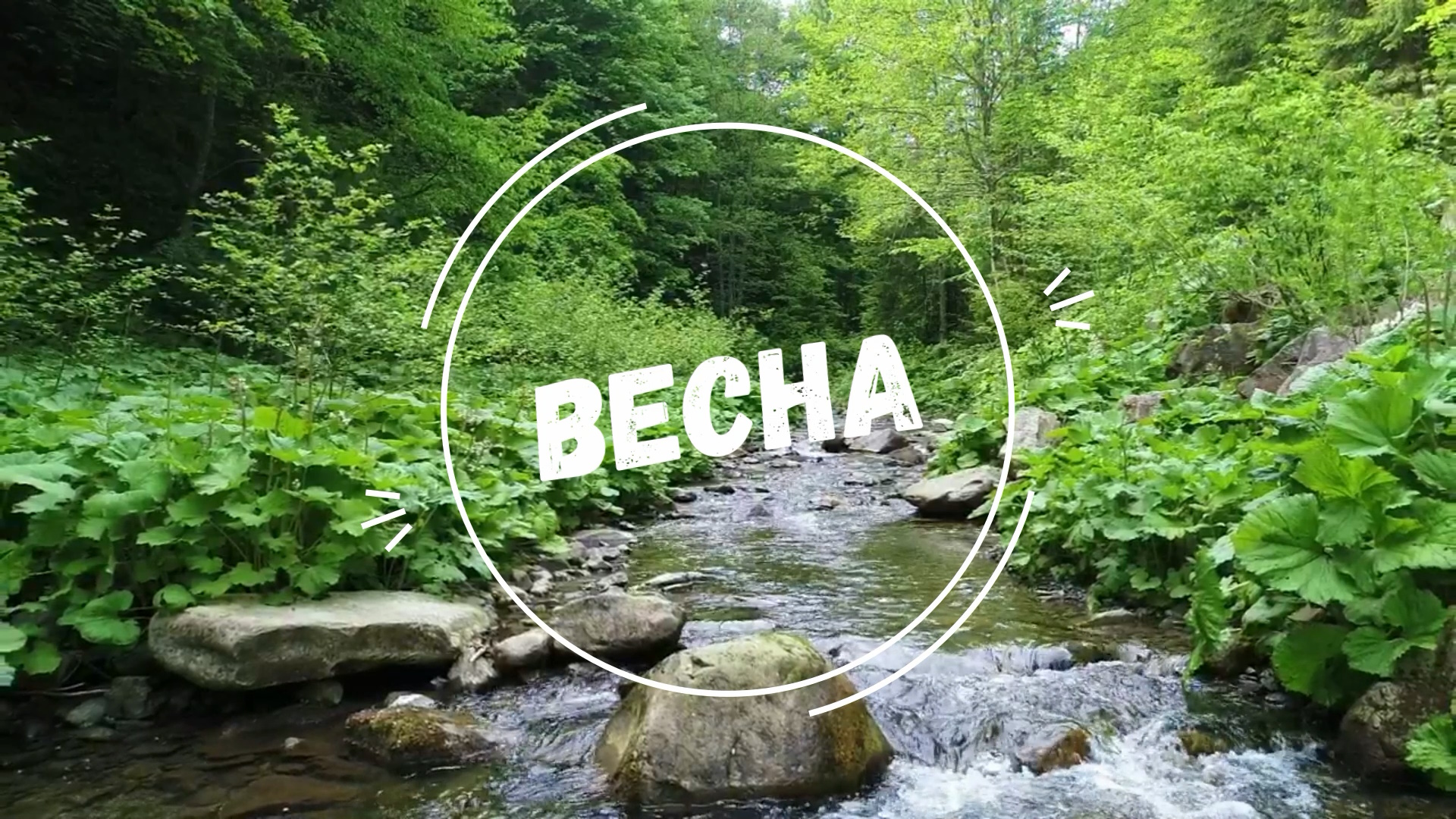 "Весна"