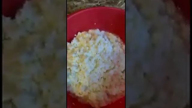 Маложирный сыр смотреть онлайн