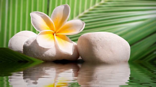 Рама-Лила. Глава16. Похищение Ситы-деви. смотреть онлайн