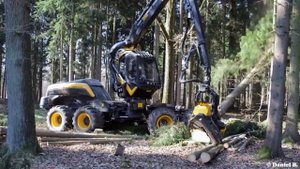 Ponsse Scorpion King ᴴᴰ