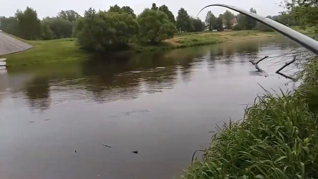 Успенское. Рыбак Андрей Николаев. Фрагменты моих рыбалок.