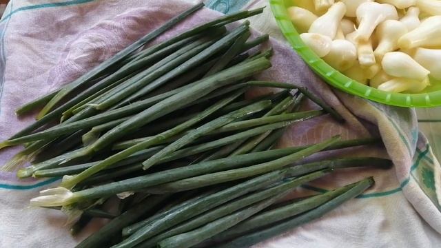 Лук пошёл в стрелки! Что с этим делать? Ничего не выбрасываем - всё пригодится!