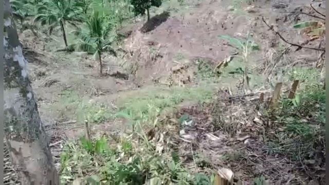 Филиппины - отдых рабочих новости по ферме