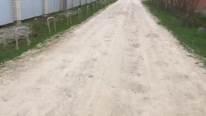 Муравей 4т 200cc с жидкостным охлаждением. Полный обзор.