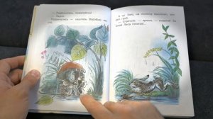 В. Сутеев: «Под грибом»