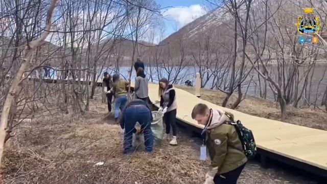 Не убирайте опад - это питание для деревьев и жизнь для биоценоза! Экология Камчатки.