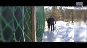 Достопримечательности Барнаула. Питомник Алтай Фалькон. День Птиц.