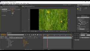 Adobe After Effect: crop видео с нужной стороны.