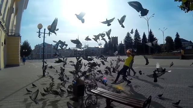 Два дурачка резвятся в Ельце) смотреть онлайн