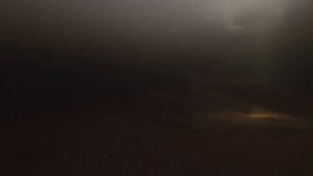 Сиги вчера на ЖВ смотреть онлайн