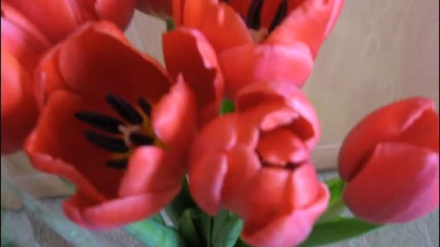 СЕНТИМЕНТАЛЬНОЕ ТАНГО Тимошенков А Н смотреть онлайн