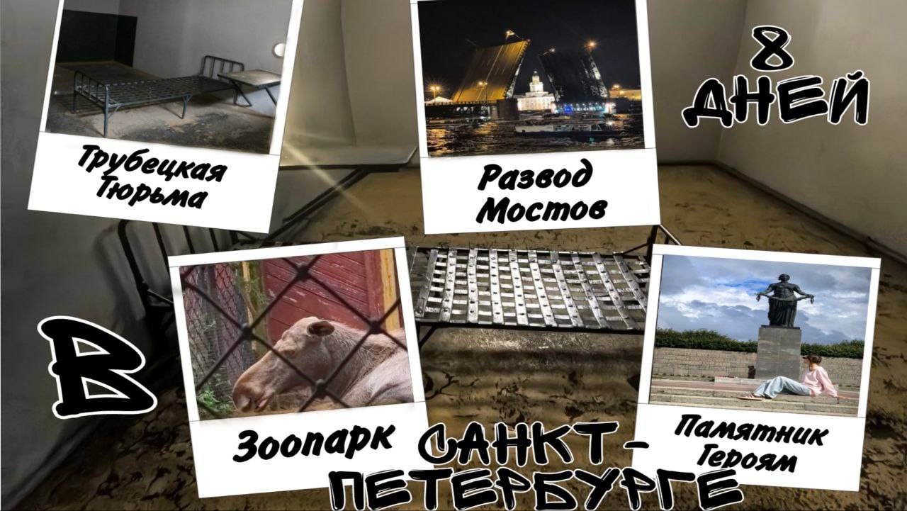 Увидели развод мостов В ПИТЕРЕ!!!!
влог: 8 дней Санкт-Петербурге