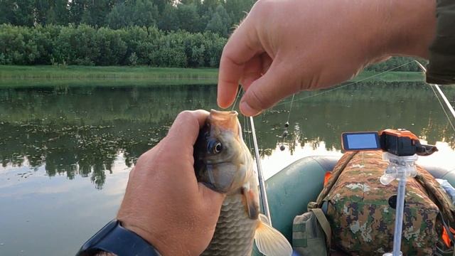 Вот ЗВЕРЮГА лодку разворачивает ! смотреть онлайн