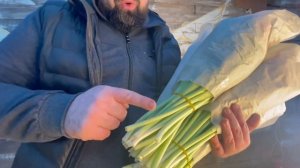 Выгонка Тюльпанов 20.02.2022  Рабочие будни !