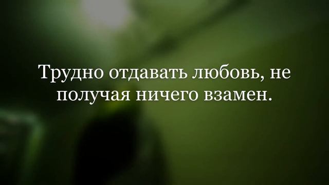 Любить всю жизнь...Это чудо. Цитаты про любовь.