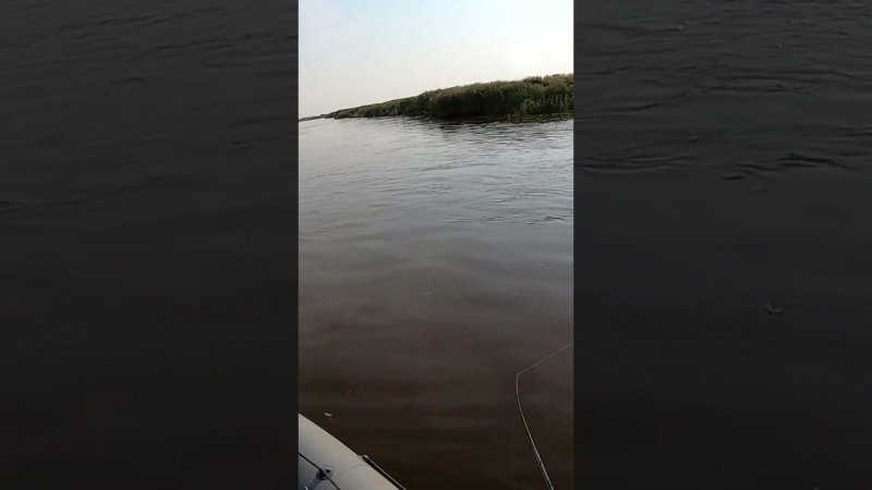 Рыбалка на спиннинг 02.07.2024 #яспиннингист #fishing #спининг