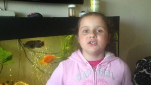 Как страшно мышке Жить в норушке - 2017-05-18