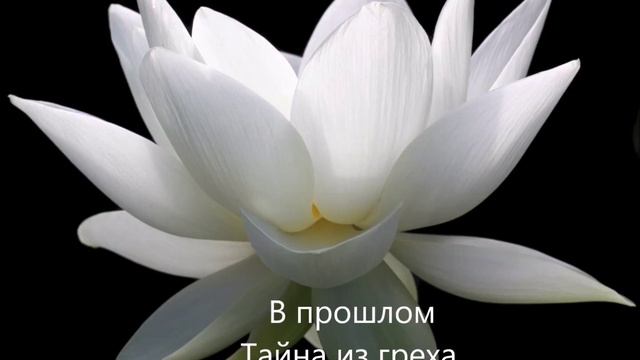 Стихи о любви | Стихотворение | Лотос | Стихи | Дельта Овна смотреть онлайн