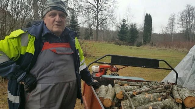 Открытие сезона по заготовке дров. Царские дрова.