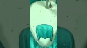 Процесс создание скульптуры Лев.