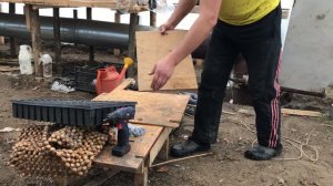 Удобное приспособление для посева семян в кассеты. Делаем своими руками.