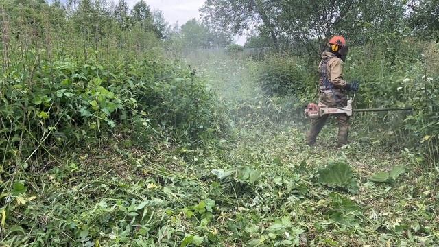 Покос участка спустя год. Shtil FS561 и леска 4мм