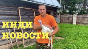 #152. Строим индюшатник. Другие новости. [Жизнь на своей земле]