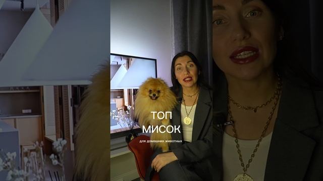 ТОП СТИЛЬНЫХ МИСОК ДЛЯ НАШИХ ПИТОМЦЕВ
