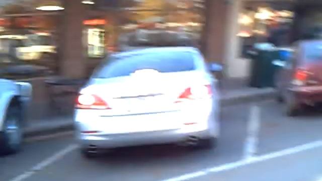 Австралийские собаки в кузове смотреть онлайн