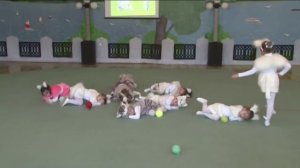 Танец "Котята" (воспитанники  2 младшей, средней и старшей групп)