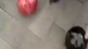 Тайцзицюань мяч в воде