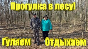 Лес | Прогулка в лесу