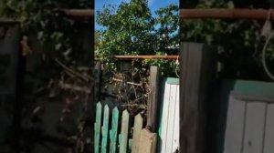 Луганская область Брянка4,центр,школа и улица 7я линия