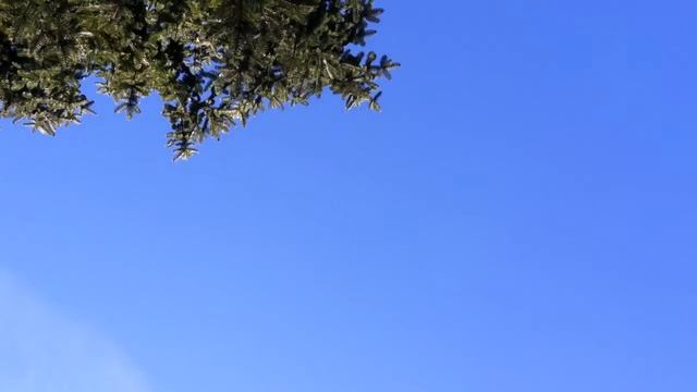 2004 Suzuki Katana repainted plus Danmoto Carbon GP смотреть онлайн