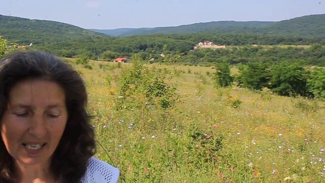 Правила для участников слета смотреть онлайн