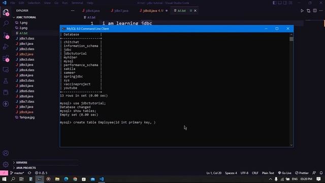 How to store character file to database #10 | JDBC | Database | Pointers