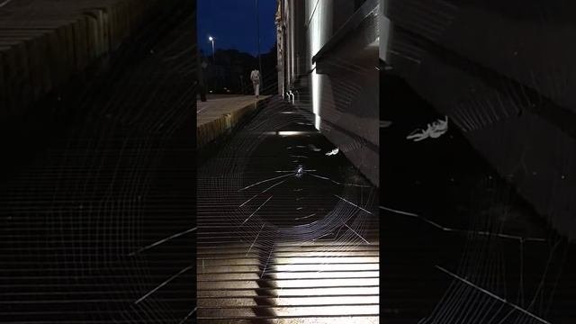 Такелажник від природи.