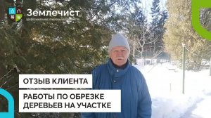 Отзыв клиента об обрезке деревьев командой Землечист