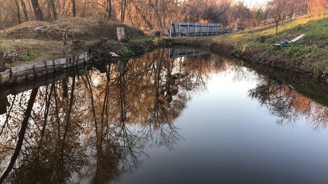 Родниковый пруд. Плюсы и минусы. Проблемы и их решение. Мой пруд без пленки. Пруд на дачном участке