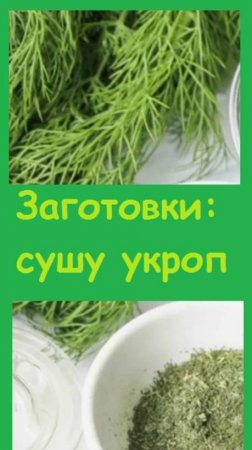 В разгаре сезон ЗАГОТОВОК, пора СУШИТЬ УКРОП на зиму!
#дача #огород #сад #garden