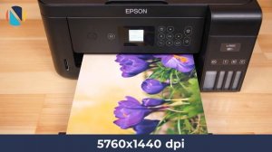 МФУ для дома Epson L4160 | Обзор с Дариной