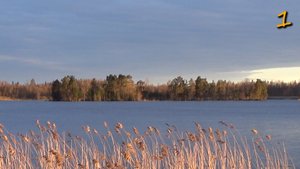 Вдоль тихих берегов Вуоксы / Май 2024г / Серия 1 / "Упрямая зима"